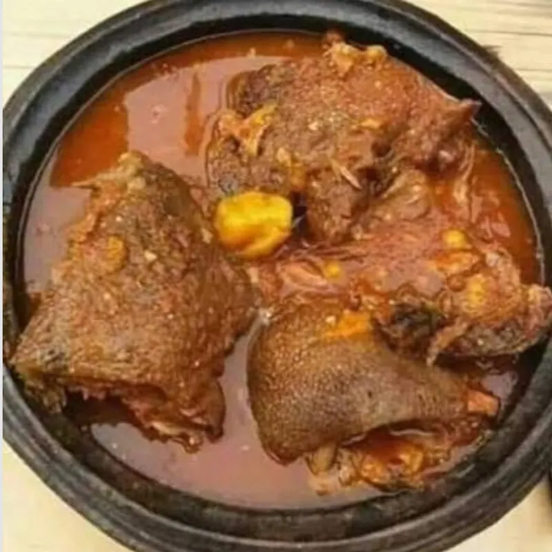 Soupe d’agouti